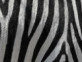 Jigsaw: Zebra Stripes
