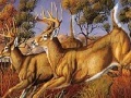 Runner deers slide puzzle