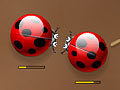 Spider Bugs