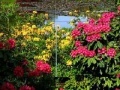 Beauty Gardens Puzzles 5