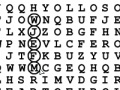 Word Search 31