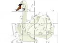 Swan Swimming Jigsaw