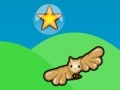 Owl Spin