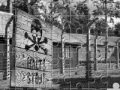 Auschwitz Birkenau