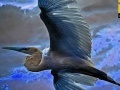 Flying Blue Stork: Puzzle