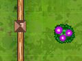 Garden Match