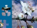 White Flower Jigsaw