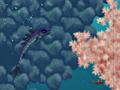 Azurefish