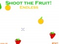 Xtreme Fruit Shoot 2!