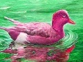 Red River Duck: Slide Puzzle