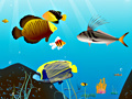 Water World