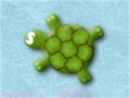 Dizzy Turtle