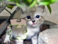 Jigsaw: Happy Kitty