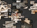 Black Racer Jigsaw