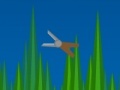 Grass 