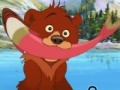 Brother Bear Spot the Difference