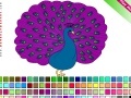Peacock Coloring