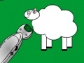 Shear The Sheep