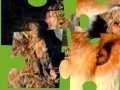 Jigsaws:Wild Animals 2