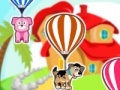 Pets Air Balloon Ride