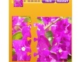 Bougainvillea Jigsaw