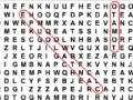 Word Search