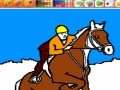 Equestrian sports -1