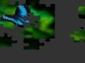 Butterfly Puzzle