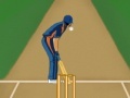 Super Cricket