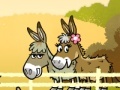 Mi and my donkey