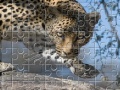 Leopard Jigsaw Puzzle