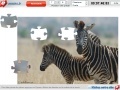 Zebras Jigsaw
