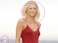 Sexy Celebrity Photo Hunt