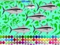Tuna Fish Coloring