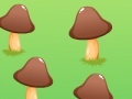 Calc mushrooms on a glade