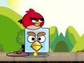 Angry birds. Find your partner