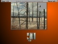 Burned Trees Moving Jigsaw