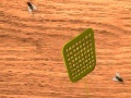Fly Swatter