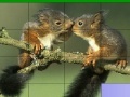 Lovely squirrels slide puzzle