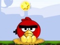 Angry birds: circus troupe
