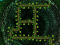 Root Your Way