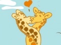 Lovers giraffes