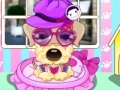 Pampered Dog Salon