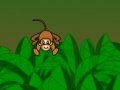 Banana Monkeys