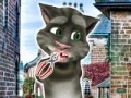 Talking cat Tom: A visit to the dentist