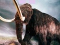 Puzzle - Mammoth