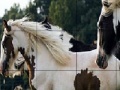 Cute spotted horses slide puzzle