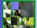 Green butterfly slide puzzle
