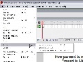 Flash MX (and 2004) Tutorial