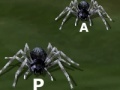 Tarantuloid Typing Terror